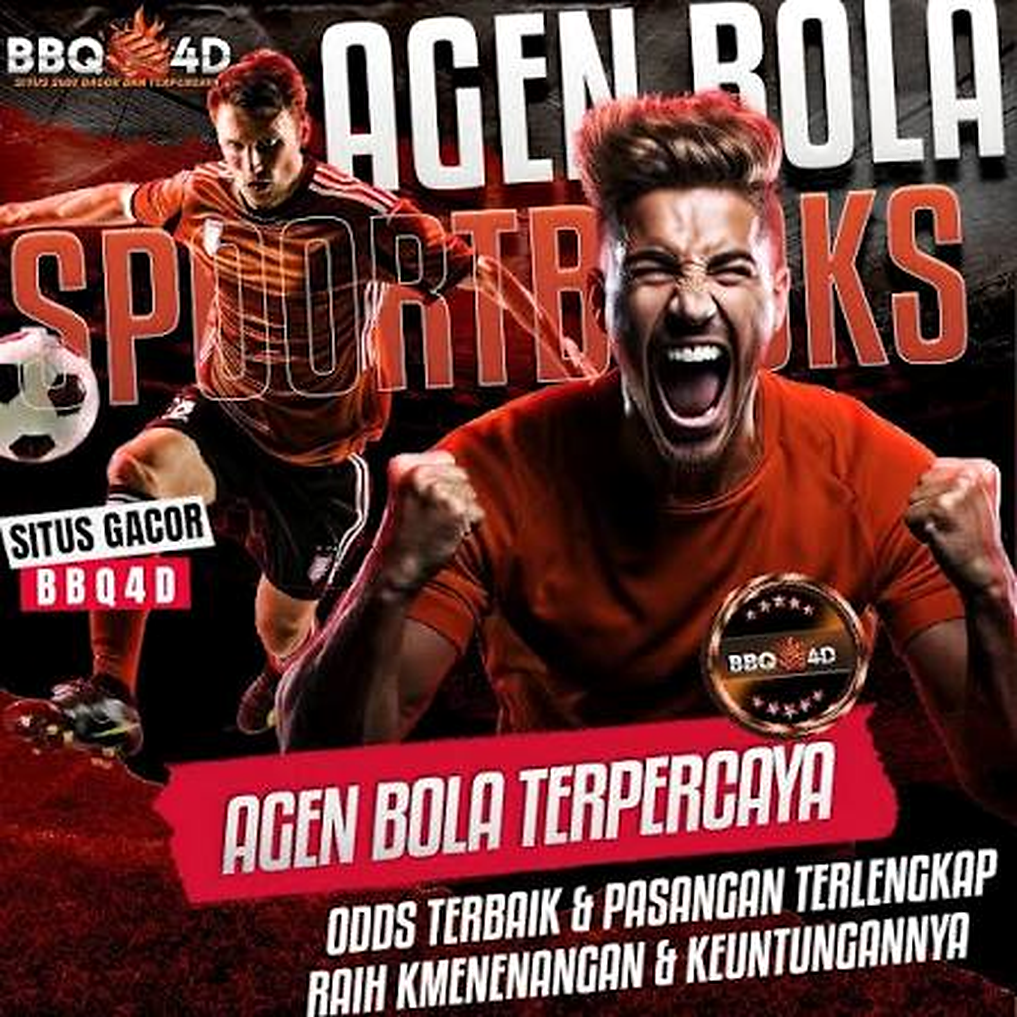 bbq4d